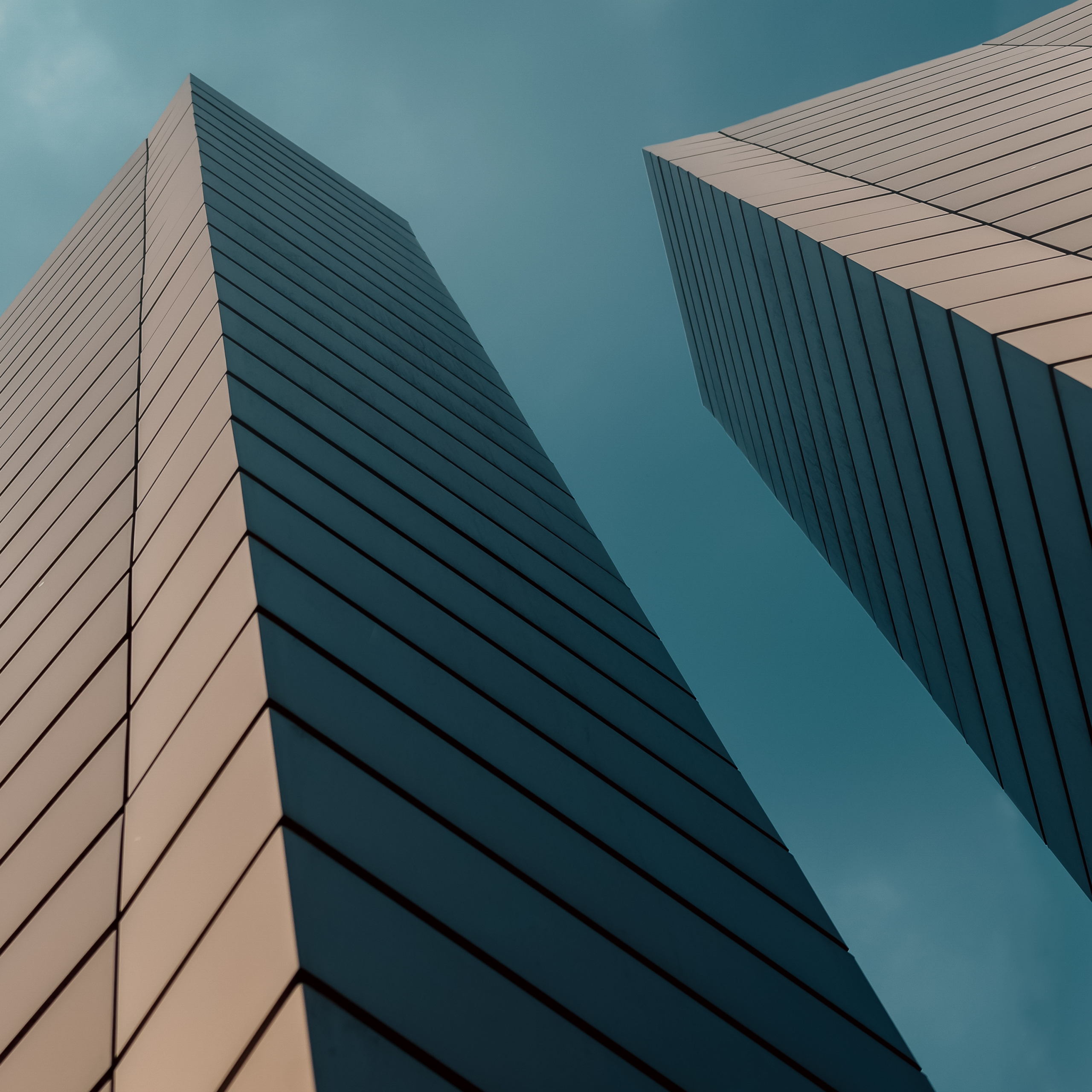 Commercial & Business Litigation